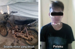 Gasak Motor Kebun, Pria Ini Dibekuk Polisi