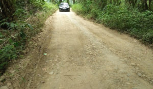 Baru Setahun Dibangun, Jalan Ini Rusak Parah