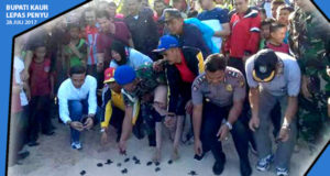 Linau Masih Berduka, 10 Hari Berlalu Nelayan Belum Ditemukan, Bupati Lepas Bibit Penyu