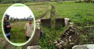 Derita Petani Ujan Mas, Irigasi Kering, 40 Ha Sawah Terbengkalai