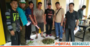 Rambah Hutan Lindung, Warga Lebong Diamankan Polisi