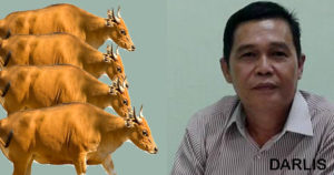 Tahun Ini, Kelompok Peternak Mahir Dapat Bantuan 40 Sapi