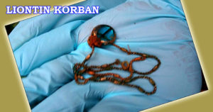 Misteri Penemuan Tulang Belulang Manusia Belum Terkuak, Yang Kenal Liontin Ini Segera Lapor Polisi