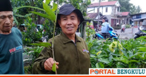 Desa Suro Ilir Kembangkan Program Budidaya Mangga