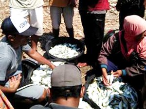 Gelombang Laut Tinggi, Harga Ikan Melambung