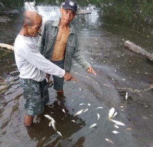 Cemari Sungai, Masyarakat Minta Laporkan Perusahaan Ke Polda