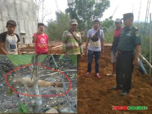 Mengejutkan, Warga Temukan Mortir Dalam Tanah Timbunan