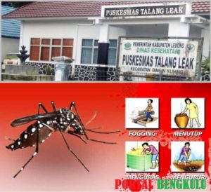 Antisipasi Penyebaran DBD, Puskemas Talang Leak Himbau Masyarakat Jaga Kebersihan Lingkungan