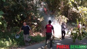 Hutan Pinus TWA Danau Tes Terbakar, TNI/Polri dan Warga Goro Lakukan Pemadaman