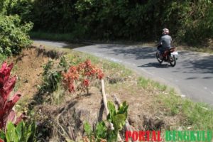Waspada.!! Jalan Lintas Curup-Muara Aman Terancam Ambrol