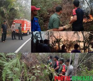 Kebun Kopi Milik Warga Rimbo Pengadang Terbakar