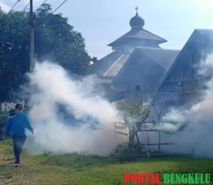 Waspada! Per Januari 2020, Ratusan Warga Mukomuko Terserang DBD