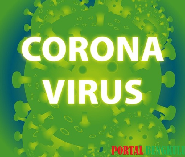 Pemkab Lebong Bentuk Satgas Pencegahan Virus Corona, Sekolah Diliburkan dan Pejabat Dilarang DL