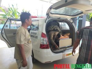 Miris! Terkendala Biaya, Pasien Koma Asal Lebong Dibawa Pulang Pihak Keluarga