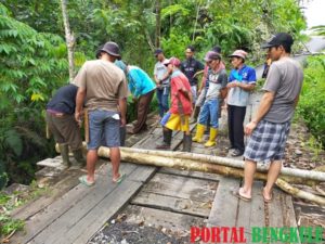 Cegah Covid-19, Warga Lebong Atas Portal 3 Titik Jalan Alternatif Masuk Lebong!