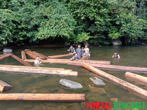 Polsek Mukomuko Selatan Amankan 5 M3 Kayu Diduga Hasil Illegal Logging