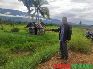 Pemkab Lebong Lamban Atasi Sawah Kekeringan, Pip Haryono: Pembangunan Harusnya Mengacu Pada Skala Prioritas!
