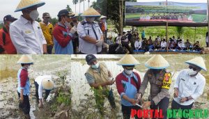 Kopli Ansori-Fahrurrozi Ajak Forkopimda Serta Dinas Tanaman Pangan dan Holtikultura Provinsi Turun ke Sawah