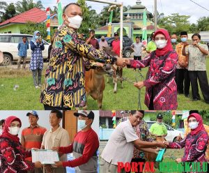 Wakil Bupati Mukomuko, Wasri Hadiri Penyerahan Bantuan Ternak Sapi