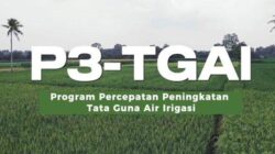 Infrastruktur Pertanian Jadi Prioritas Pembangunan!