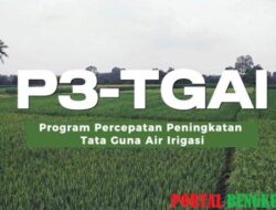 Infrastruktur Pertanian Jadi Prioritas Pembangunan!